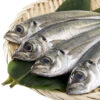 Horse Mackerel (Kpanla)