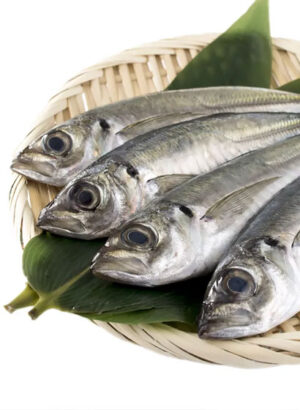 Horse Mackerel (Kpanla)