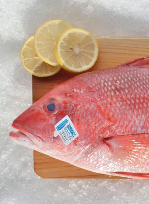 Red Fish