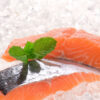Salmon