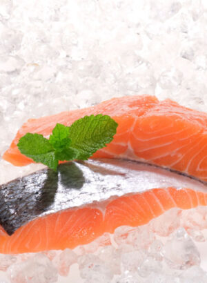 Salmon