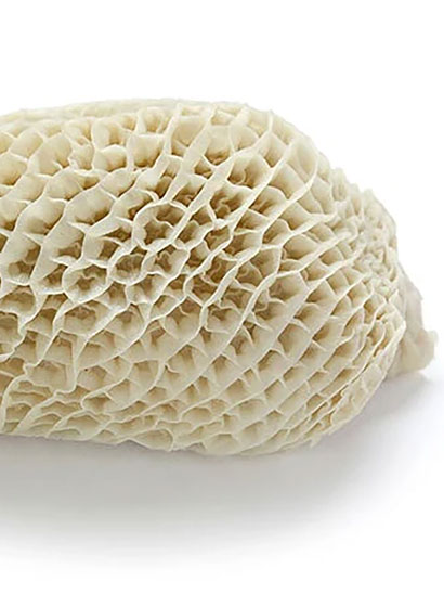 Tripe